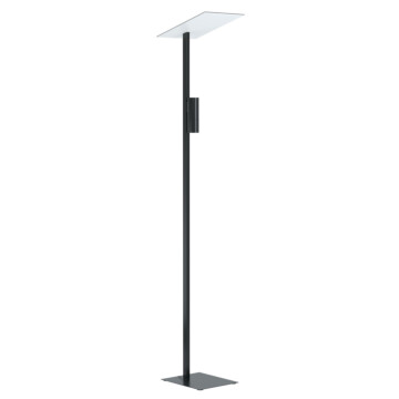 EGLO LED (w/o EEI) BUDENSEA Stehleuchten