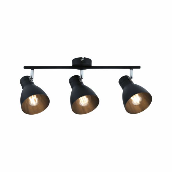Paulmann Spotlight Davy   E27   230V max. 3x20W dimmbar Schwarz