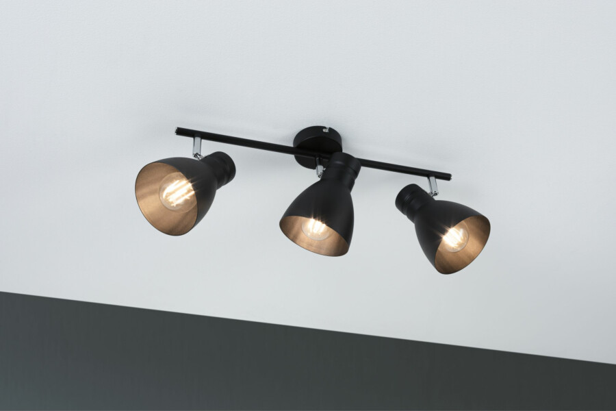Paulmann Spotlight Davy   E27   230V max. 3x20W dimmbar Schwarz