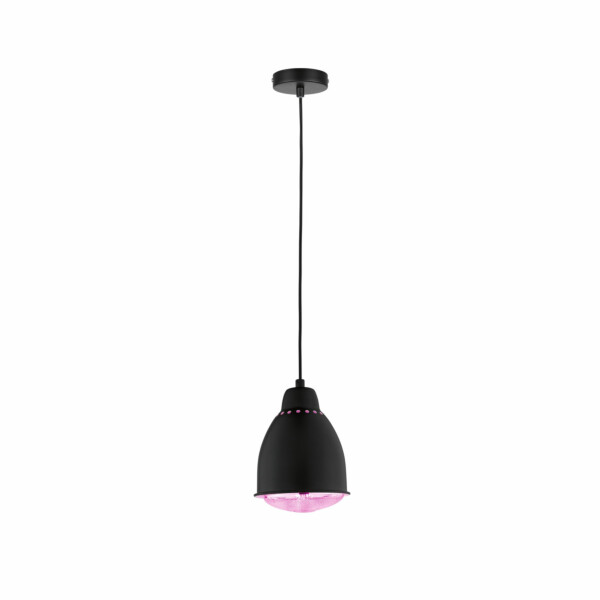 Paulmann Neordic Pendelleuchte Hilla   E27   max. 40W Schwarz dimmbar Metall