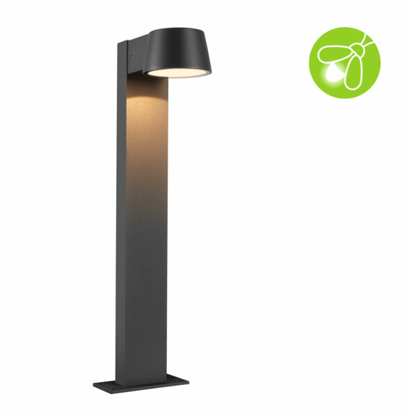Paulmann LED Pollerleuchte Capea insektenfreundlich IP44  500mm 2200K 6W 450lm 230V 98° Anthrazit  Aluminium