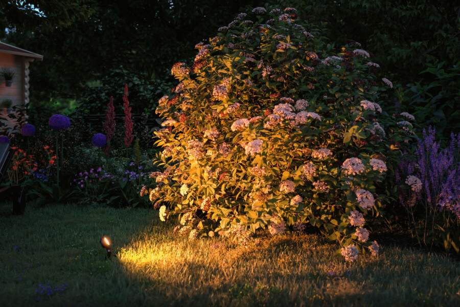 Paulmann Plug & Shine LED Gartenstrahler Sting Basisset insektenfreundlich IP67 2200K 3x6.3W  75VA Anthrazit