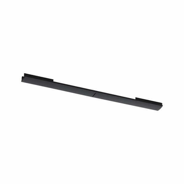 Paulmann URail Zubehör Connector-Inlay Schwarz#Transparent