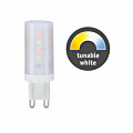 Paulmann Standard 230V LED Stiftsockel G9 1er-Pack 300lm 4W Dim to warm dimmbar Klar