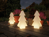 Paulmann Plug & Shine Bundle LED Lichtobjekt Tree inkl. 2m-Kabel und Trafo IP67 3000K 2.8W Weiß
