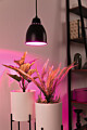 Paulmann Neordic Bundle Pendelleuchte Hilla + LED Reflektor E27 Schwarz dimmbar Metall / 230V 200lm 6.5W 1300K