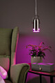 Paulmann Neordic Bundle Pendelleuchte Lavea + LED Reflektor E27 Eisen gebürstet dimmbar Metall / 230V 200lm 6.5W 1300K