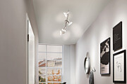 Paulmann Spotlight Carolina   GU10   230V max. 4x10W dimmbar Nickel matt