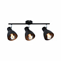 Paulmann Spotlight Davy   E27   230V max. 3x20W dimmbar Schwarz