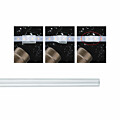 Paulmann YourLED Verbinder 15cm Water-Protection Schrumpfschlauch 14mm  Transparent