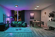 Paulmann LED Deckenleuchte Rainbow mit Regenbogeneffekt    RGBW+ 750lm 230V 22W dimmbar Schwarz#Weiß