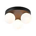 Paulmann Selection Bathroom Deckenleuchte Gove IP44 G9   230V max. 3x20W dimmbar Schwarz matt#Satin