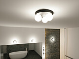 Paulmann Selection Bathroom Deckenleuchte Gove IP44 G9   230V max. 3x20W dimmbar Schwarz matt#Satin