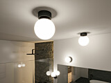 Paulmann Selection Bathroom LED Deckenleuchte Gove IP44  3000K 900lm 230V 9W  Schwarz matt#Satin