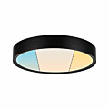 Paulmann Selection Bathroom LED Deckenleuchte Tega  IP44  White Switch 1200lm 230V 22.5W  Schwarz matt