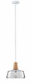 Paulmann Neordic Pendelleuchte Yva  E27   max. 20W Holz#Klar dimmbar Holz#Glas