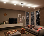 Paulmann LED Seilsystem DiscLED I Einzelspot  200lm 4W 2700K  230/12V Chrom#Satin