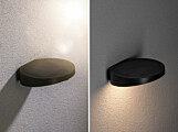 Paulmann Solar LED Außenwandleuchte Ryse Bewegungsmelder IP44 3000K 30lm Anthrazit
