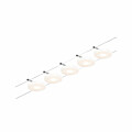 Paulmann CorDuo LED Seilsystem DiscLED Basisset  5x200lm 5x4.5W 3000K  230/12V Chrom matt#Chrom