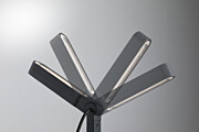 Paulmann Plug & Shine LED Gartenstrahler Ito Einzelspot Vertikale Ausrichtung IP65 3000K 6W   Anthrazit