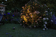 Paulmann Plug & Shine LED Gartenstrahler Smart Home Zigbee 3.0 Kikolo  insektenfreundlich IP65 Tunable Warm 6.2W   Anthrazit