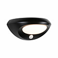 Paulmann Solar LED Außenwandleuchte Sorova Bewegungsmelder  IP44  230x125mm 3000K 3.5W 220lm   Anthrazit Kunststoff