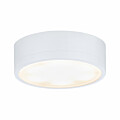 Paulmann Clever Connect LED Spot Medal Tunable White 2.3W   Weiß matt
