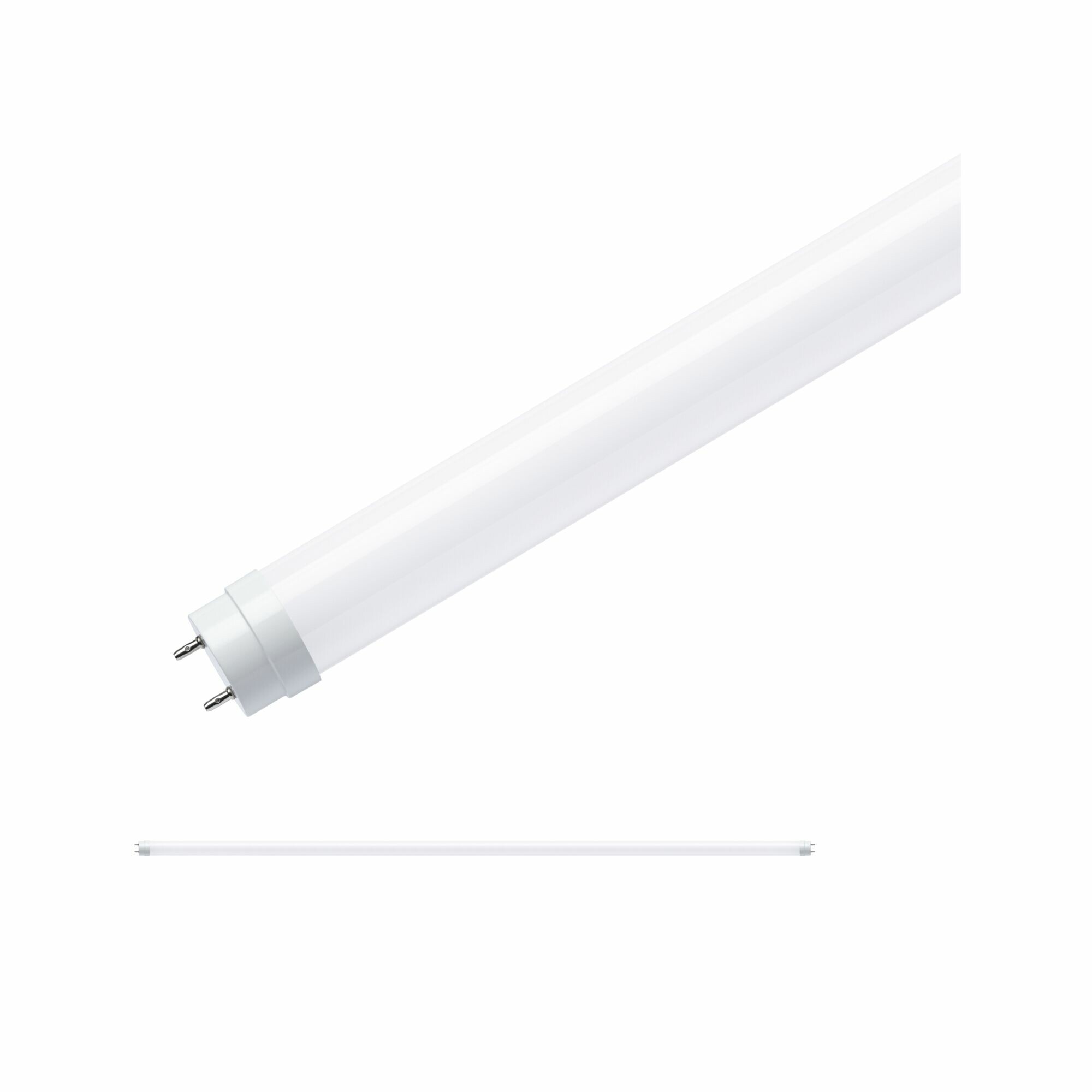 Paulmann Standard 230V LED Röhre G13 T8 EM 1.514mm 2300lm 22W 6500K Opal